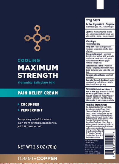 Label (Wlmt Pain Relief Cream Tube 2.5oz 2 Copy)
